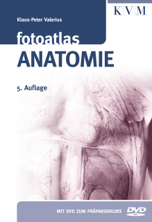 Fotoatlas Anatomie