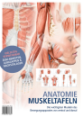 Anatomie Muskeltafeln