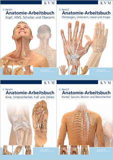 Anatomie Arbeitsbuch, Band 1-4
