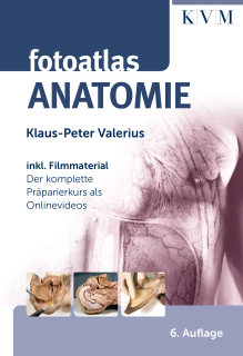 Fotoatlas Anatomie