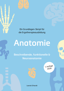 Anatomie - Beschreibende, funktionelle & Neuroanatomie