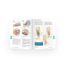 Trailguide Anatomie