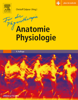 Anatomie, Physiologie f&uuml;r die Physiotherapie